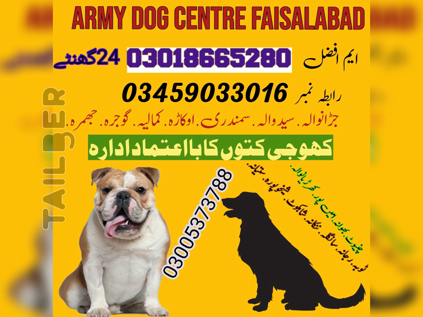 Army Dog Center Faisalabad 03018665280